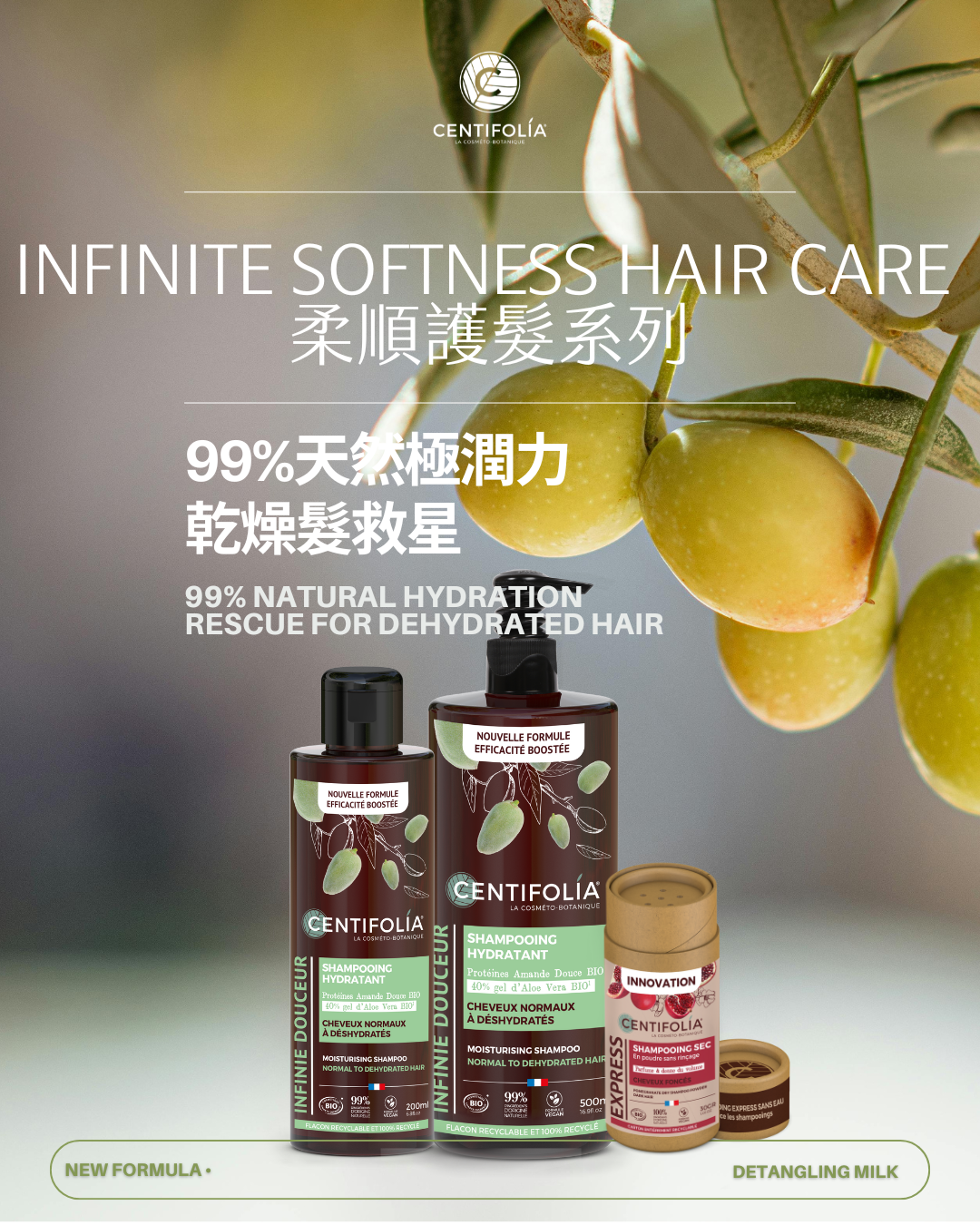 有機輕潤護髮素 - 普通至乾燥髮質專用